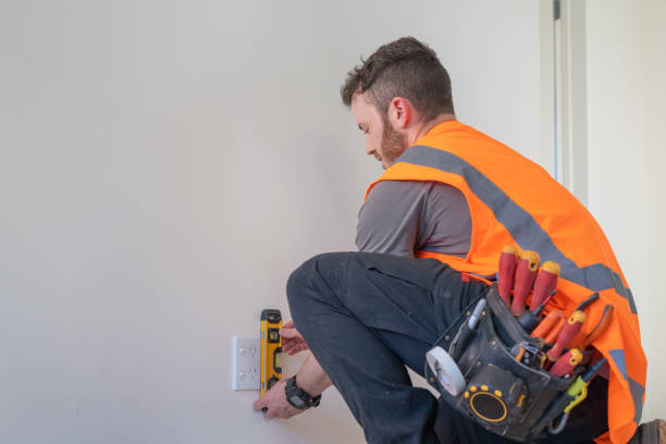 Best Residential Electrician Services  in Allendale, SC